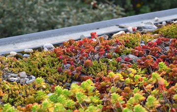 the cost of Monemore green roof installation