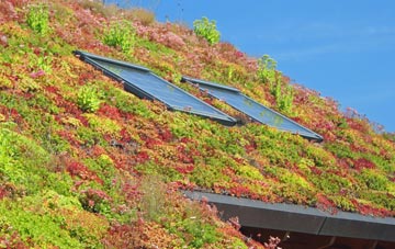 Monemore living roof systems