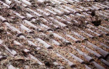 Monemore roof cleaning companies