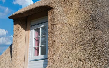Monemore thatch roof disadvantages