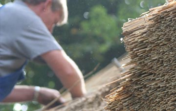 professional Monemore thatchers