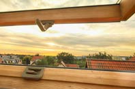 rated Monemore roof window companies